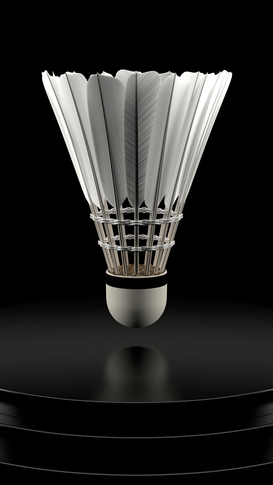 无论是青训 无论是青训